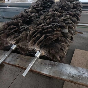 汽車(chē)噴涂除靜電鴕鳥(niǎo)毛毛刷