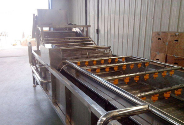 湖南富盈水果加工廠